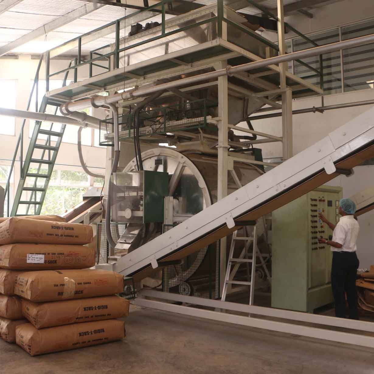 Verwerking van theebladeren in de theefabriek in Sri Lanka